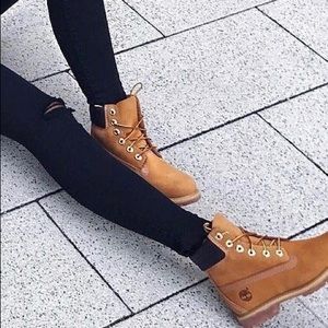 timberland waterville 6